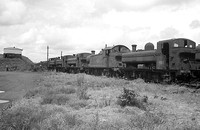 PMB0813 - Stored locos awaiting scrapping at Woodhams, Barry 25/7/65