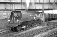 AW00573 - Cl MN No. 35027 'Port Line' on 'The Golden Arrow' 28/6/51