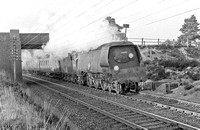 CH00094 - Cl MN No. 35021 'New Zealand Line' on the 1520 Waterloo to Bournemouth West at Beaulieu Road, March 1959