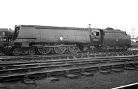 JAY0344 - Cl MN No. 35012 'United States Lines' at Salisbury shed 2/11/52