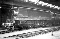 JAY0337 - Cl MN No. 35006 'Peninsular & Oriental S. N. Co.' (in BR blue, rear of tender cut off) in Eastleigh shed 13/9/52