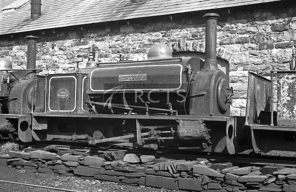AW00412 - 0-4-0ST 'Gertrude' at Penrhyn, Coed-y-Parc 14/9/58