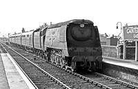 AW00579 - Cl BB No. 34075 '264 Squadron' arriving at Canterbury East station 19/7/51