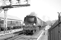 AW00795 - Cl BB No. 34086 '219 Squadron' at Canterbury East 15/4/59