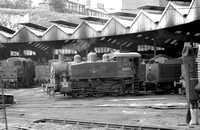 CH02094 - Cl USA No. 30072 shed pilot at Guildford shed 25/5/63
